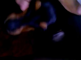 Lick Pussy Gif Xxx Porn