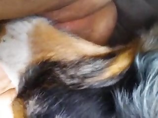 Hentay Xxx Porn