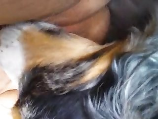 Hentay Xxx Porn