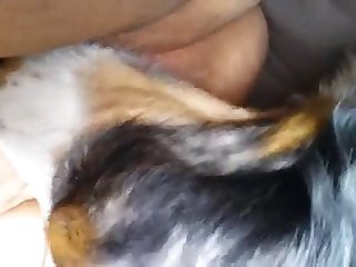 Hentay Xxx Porn