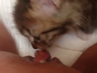 Face Riding Xxx Porn