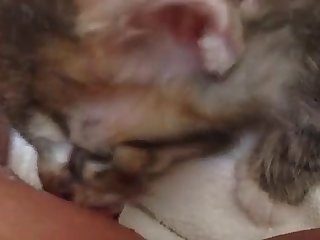 Face Riding Xxx Porn