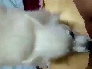 Willy Wonka Xxx Porn