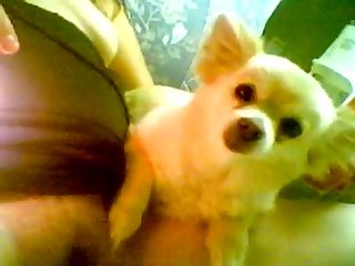 Hot Girls Porn Xxx Video