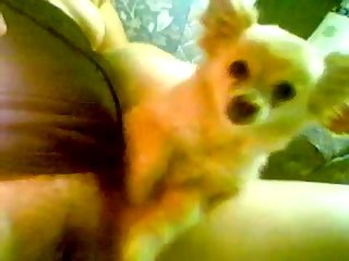 Hot Girls Porn Xxx Video