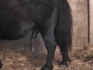 Xxx Porn Stepmom And Son