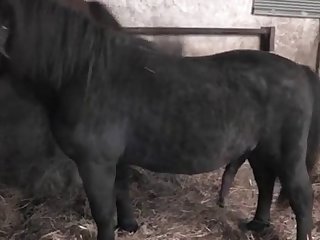 Xxx Porn Stepmom And Son