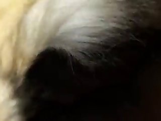 Bhad Bhabie Nude Xxx Porn