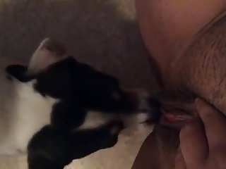 Norwegian Girl Porn Xxx Sex Tube