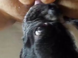 Japanese Lesbian Schoolgirl Bullied Xxx Porn