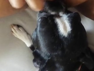 Japanese Lesbian Schoolgirl Bullied Xxx Porn