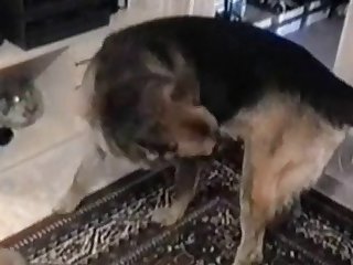 Ultra Porn Xxx
