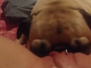Xxx Hd Porn Video