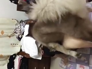 Xxx Asian Gay Porn