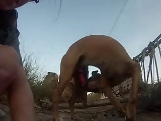 Letest Xxx Porn Video