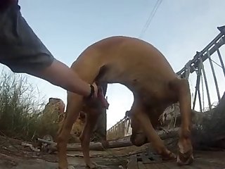 Letest Xxx Porn Video