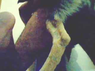 Gay Men Tied Up Anal Porn Xxx