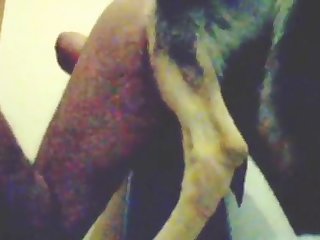 Gay Men Tied Up Anal Porn Xxx