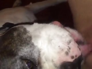 Porn. Xxx. Com
