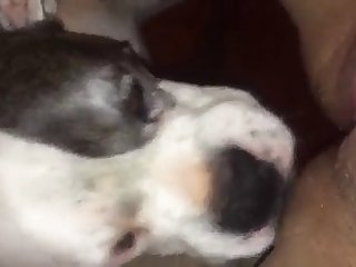 Porn. Xxx. Com