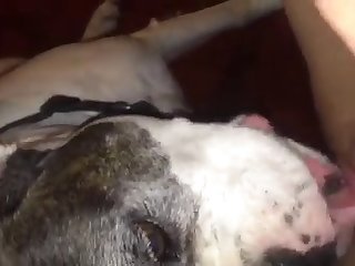 Porn. Xxx. Com