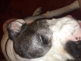 Porn. Xxx. Com