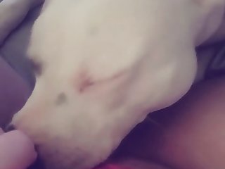 Xxx Porn Video Brother