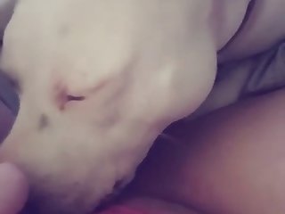 Xxx Porn Video Brother