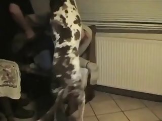 Lisa Ann Milf Riding Gif Xxx Porn