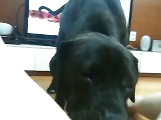 Artsy Scarlett Webcam Xxx Porn