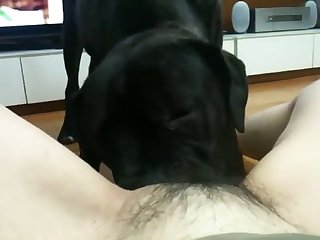 Artsy Scarlett Webcam Xxx Porn