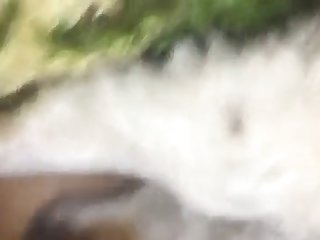 Xxx Hd Porn Gifs