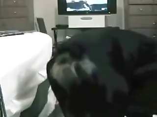 Valentine Xxx Porn