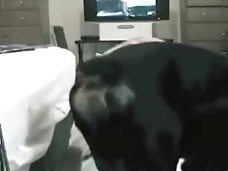 Valentine Xxx Porn