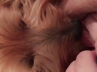 Xxx Porn Monsters