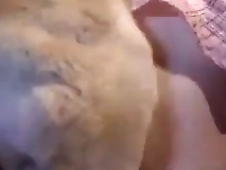 Agliardi Napoli Xxx Porn