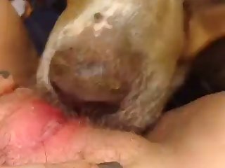 Indian Porn Web Series Xxx