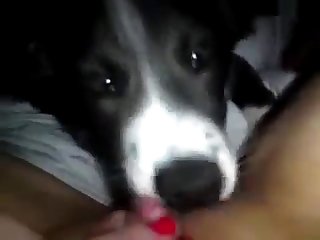 Miosotis Xxx Porn Imagefap
