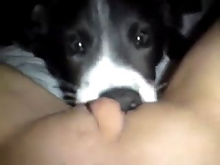 Miosotis Xxx Porn Imagefap