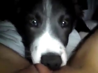 Miosotis Xxx Porn Imagefap