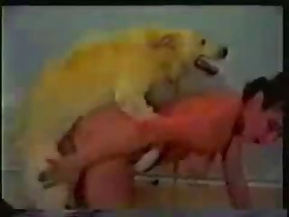 Butt Fucked Hard Porn Xxx