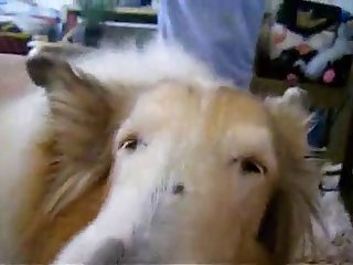 Xxx Sexy Video Porn Video