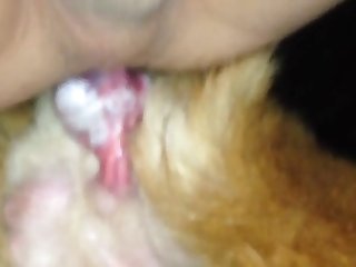 Tari Xxx Porn