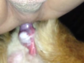 Tari Xxx Porn