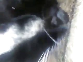 Tecavuz Xxx Porn