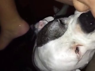 Chicas Masturbandose Hd Xxx Porn