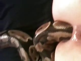 Milf Cum Fuck Porn Xxx