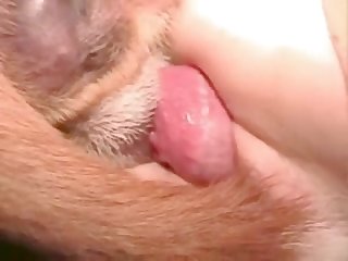 Theif Xxx Porn