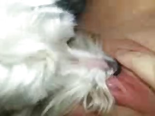 Desyra Noir Anal Xxx Porn