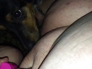 Ely La Bella Xxx Porn